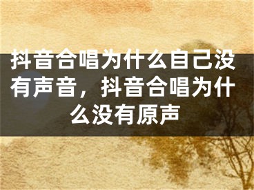 抖音合唱為什么自己沒有聲音，抖音合唱為什么沒有原聲