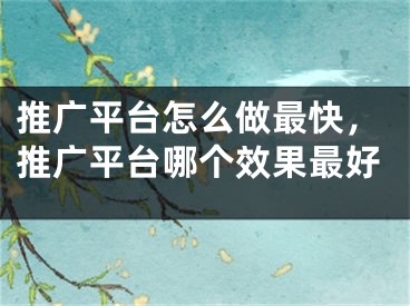 推廣平臺(tái)怎么做最快，推廣平臺(tái)哪個(gè)效果最好