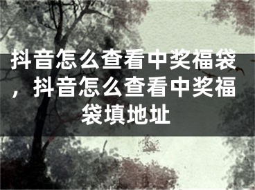 抖音怎么查看中獎(jiǎng)福袋，抖音怎么查看中獎(jiǎng)福袋填地址