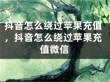 抖音怎么繞過蘋果充值，抖音怎么繞過蘋果充值微信