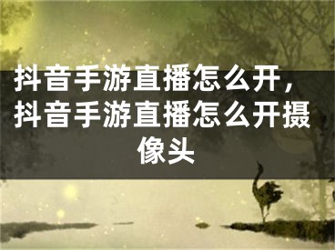 抖音手游直播怎么開，抖音手游直播怎么開攝像頭