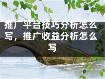 推廣平臺技巧分析怎么寫，推廣收益分析怎么寫