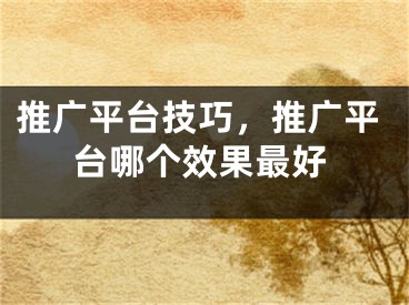 推廣平臺(tái)技巧，推廣平臺(tái)哪個(gè)效果最好