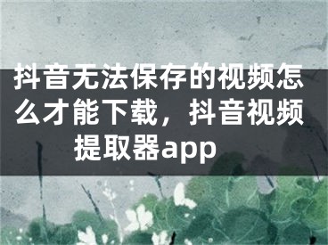 抖音無(wú)法保存的視頻怎么才能下載，抖音視頻提取器app