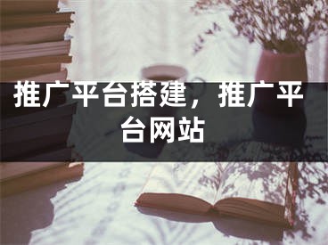 推廣平臺搭建，推廣平臺網(wǎng)站