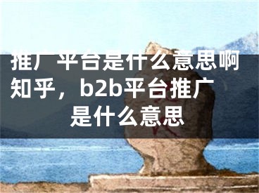 推廣平臺(tái)是什么意思啊知乎，b2b平臺(tái)推廣是什么意思