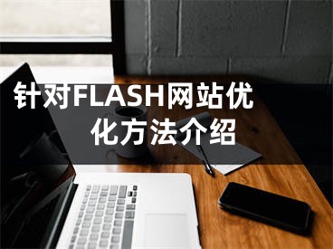 針對FLASH網(wǎng)站優(yōu)化方法介紹