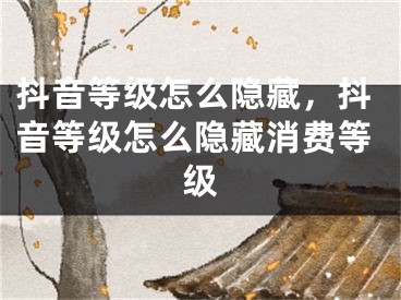 抖音等級(jí)怎么隱藏，抖音等級(jí)怎么隱藏消費(fèi)等級(jí)