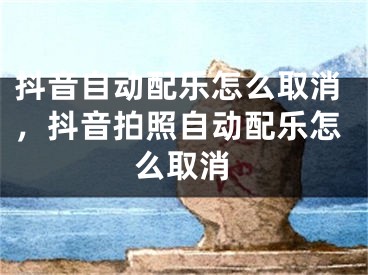 抖音自動配樂怎么取消，抖音拍照自動配樂怎么取消