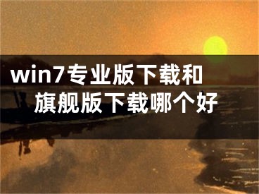 win7專業(yè)版下載和旗艦版下載哪個(gè)好