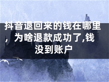 抖音退回來的錢在哪里，為啥退款成功了,錢沒到賬戶