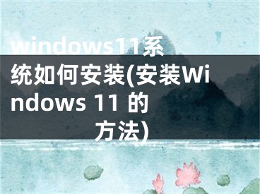 windows11系統(tǒng)如何安裝(安裝Windows 11 的方法)