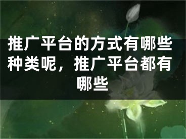 推廣平臺的方式有哪些種類呢，推廣平臺都有哪些