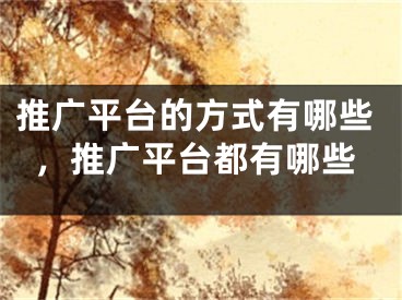 推廣平臺(tái)的方式有哪些，推廣平臺(tái)都有哪些