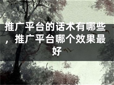 推廣平臺(tái)的話術(shù)有哪些，推廣平臺(tái)哪個(gè)效果最好