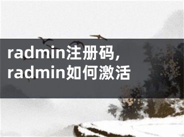 radmin注冊碼,radmin如何激活