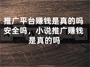 推廣平臺(tái)賺錢是真的嗎安全嗎，小說推廣賺錢是真的嗎