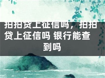 拍拍貸上征信嗎，拍拍貸上征信嗎 銀行能查到嗎