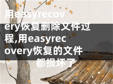 用easyrecovery恢復(fù)刪除文件過程,用easyrecovery恢復(fù)的文件都損壞了