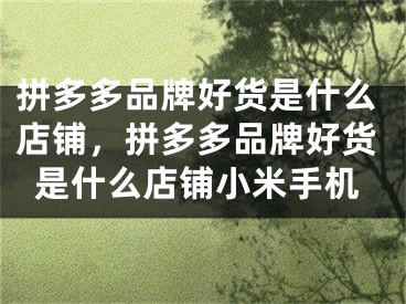 拼多多品牌好貨是什么店鋪，拼多多品牌好貨是什么店鋪小米手機(jī)