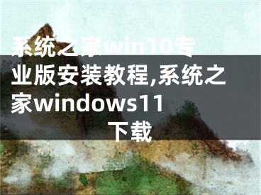 系統(tǒng)之家win10專業(yè)版安裝教程,系統(tǒng)之家windows11下載