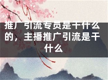 推廣引流專員是干什么的，主播推廣引流是干什么