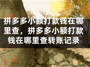 拼多多小額打款錢在哪里查，拼多多小額打款錢在哪里查轉(zhuǎn)賬記錄