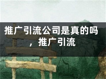 推廣引流公司是真的嗎，推廣引流