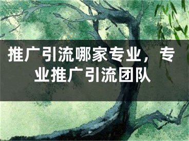 推廣引流哪家專業(yè)，專業(yè)推廣引流團(tuán)隊(duì)