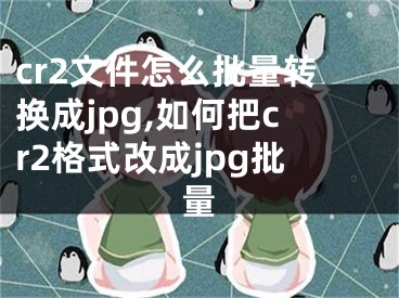 cr2文件怎么批量轉(zhuǎn)換成jpg,如何把cr2格式改成jpg批量