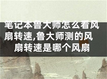 筆記本魯大師怎么看風扇轉(zhuǎn)速,魯大師測的風扇轉(zhuǎn)速是哪個風扇