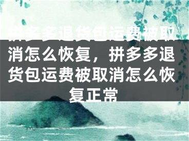 拼多多退貨包運費被取消怎么恢復，拼多多退貨包運費被取消怎么恢復正常