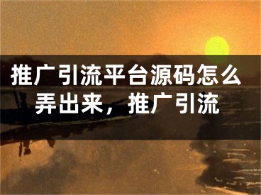 推廣引流平臺(tái)源碼怎么弄出來(lái)，推廣引流