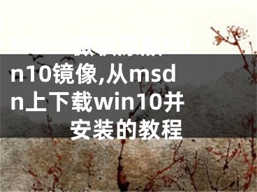 Msdn微軟原版Win10鏡像,從msdn上下載win10并安裝的教程