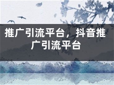 推廣引流平臺，抖音推廣引流平臺