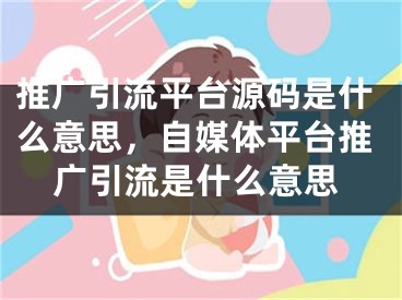 推廣引流平臺(tái)源碼是什么意思，自媒體平臺(tái)推廣引流是什么意思