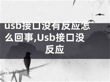 usb接口沒有反應(yīng)怎么回事,Usb接口沒反應(yīng)