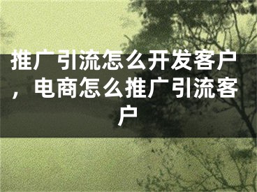 推廣引流怎么開發(fā)客戶，電商怎么推廣引流客戶