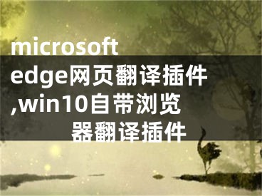 microsoft edge網(wǎng)頁(yè)翻譯插件,win10自帶瀏覽器翻譯插件