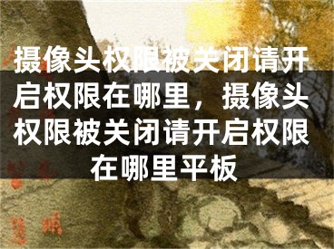 攝像頭權(quán)限被關(guān)閉請開啟權(quán)限在哪里，攝像頭權(quán)限被關(guān)閉請開啟權(quán)限在哪里平板