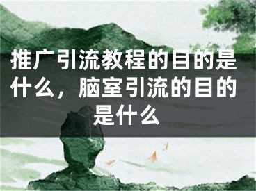 推廣引流教程的目的是什么，腦室引流的目的是什么