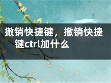 撤銷快捷鍵，撤銷快捷鍵ctrl加什么