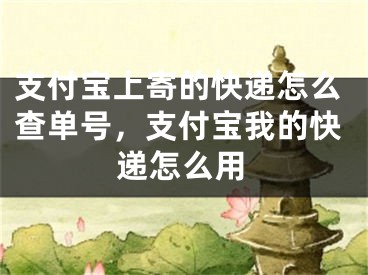 支付寶上寄的快遞怎么查單號，支付寶我的快遞怎么用