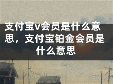 支付寶v會(huì)員是什么意思，支付寶鉑金會(huì)員是什么意思