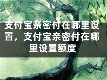 支付寶親密付在哪里設(shè)置，支付寶親密付在哪里設(shè)置額度