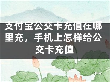 支付寶公交卡充值在哪里充，手機上怎樣給公交卡充值