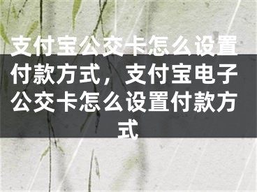 支付寶公交卡怎么設(shè)置付款方式，支付寶電子公交卡怎么設(shè)置付款方式