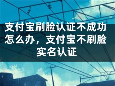 支付寶刷臉認(rèn)證不成功怎么辦，支付寶不刷臉實(shí)名認(rèn)證