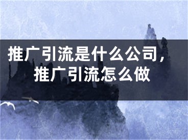 推廣引流是什么公司，推廣引流怎么做