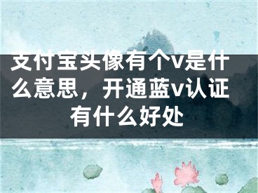 支付寶頭像有個(gè)v是什么意思，開通藍(lán)v認(rèn)證有什么好處